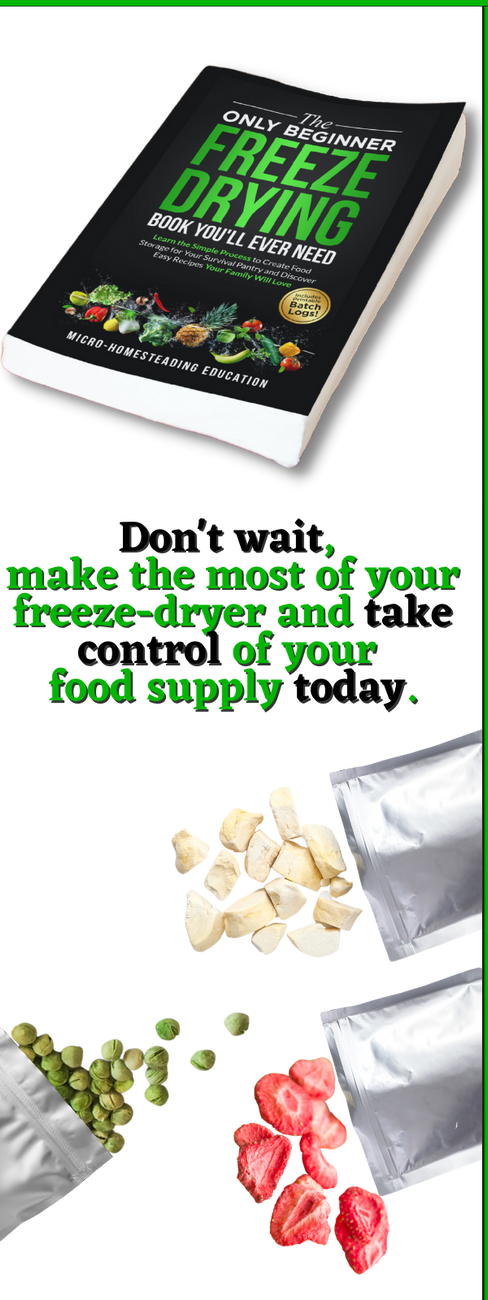 The Only Beginner FD Book!