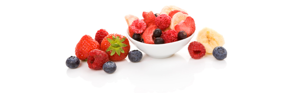 Freeze Drying Food Preservation