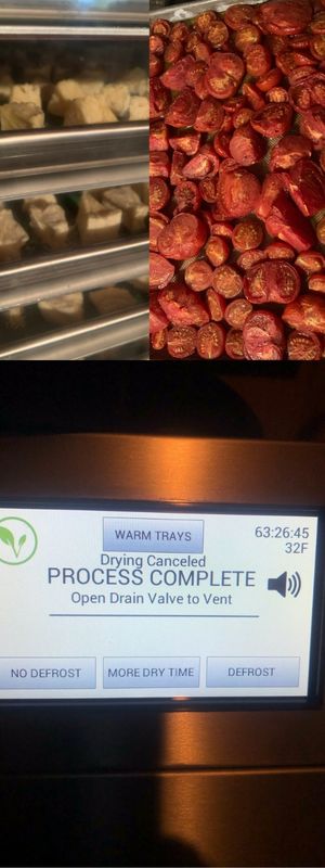 Understanding Freeze-Drying