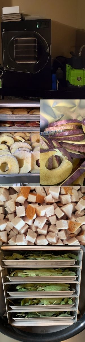 Understanding Freeze-Drying