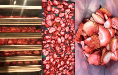 freeze-dried strawberries before/after freeze-dried strawberries before/after