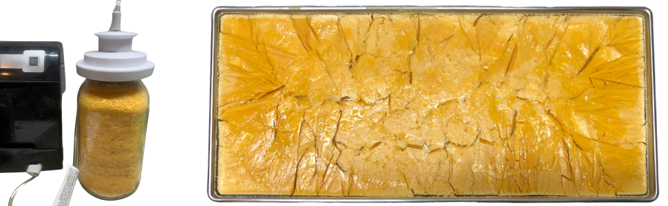 freeze dry eggs at home